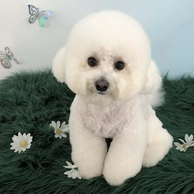 페이지 주제를 안내하는 사진 또는 브랜드 이미지
