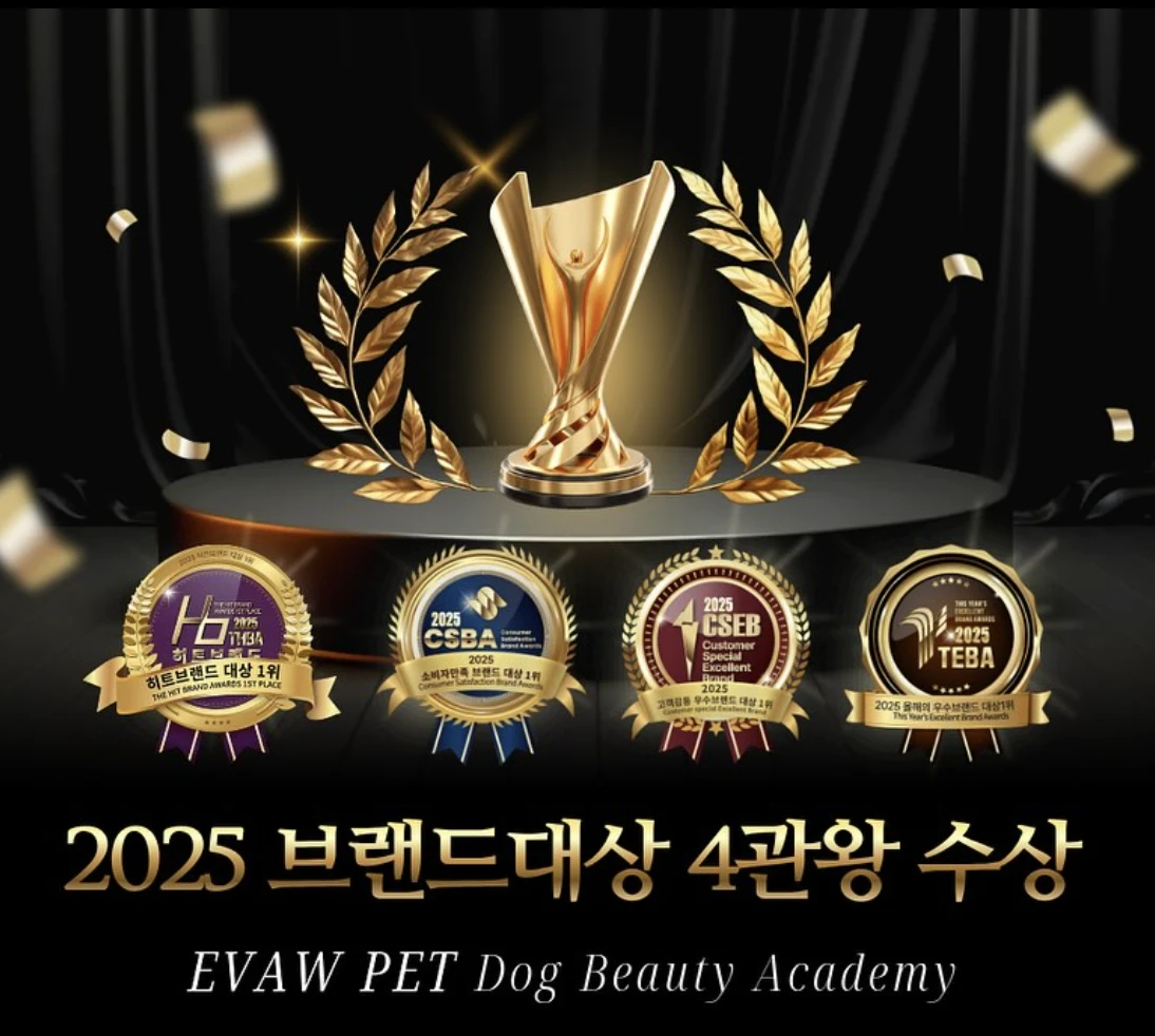 2025 브랜드대상 4관왕 수상 안내
