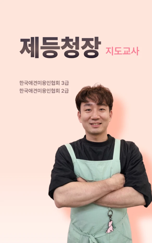 제등청장 지도교사 공식 소개